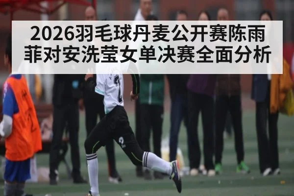 2026羽毛球丹麦公开赛陈雨菲对安洗莹女单决赛全面分析